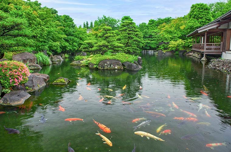 🌳 코코엔 정원(코코엔) 이미지 1